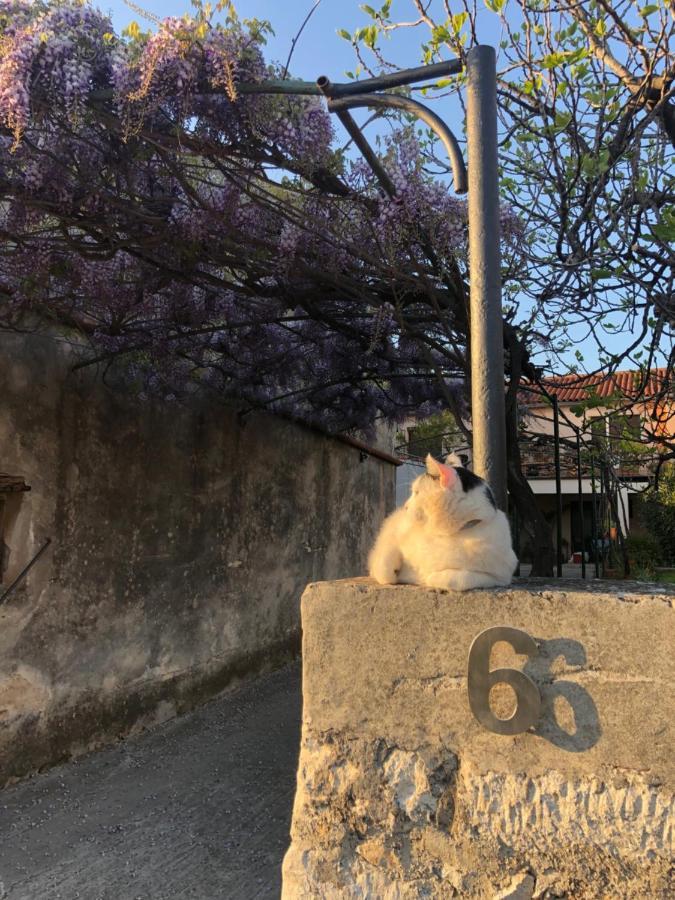 App Milija Lägenhet Rovinj Exteriör bild