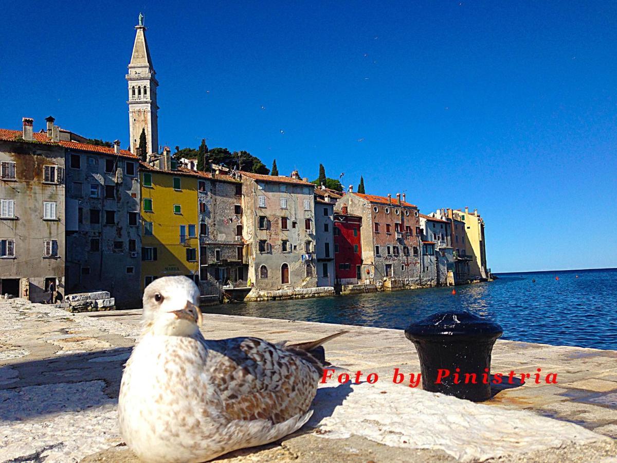 App Milija Lägenhet Rovinj Exteriör bild
